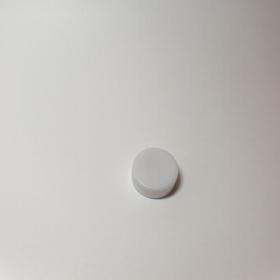 Rammelschijfje  2 stuks