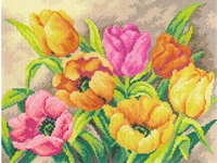 Tulpen 