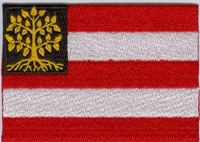 Applicatie Vlag 's-Hertogenbosch 