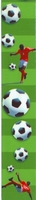 Voetbal Lint 1 meter