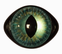 Veiligheidsogen Blauw 1 paar