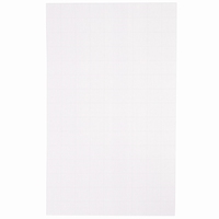 Plastic Stramien 34x57cm 7mesh Transparant 1 stuks