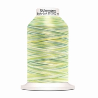 Gütermann Bulky-Lock multicolour 