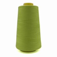 Overlock Garen Groen 2700 meter